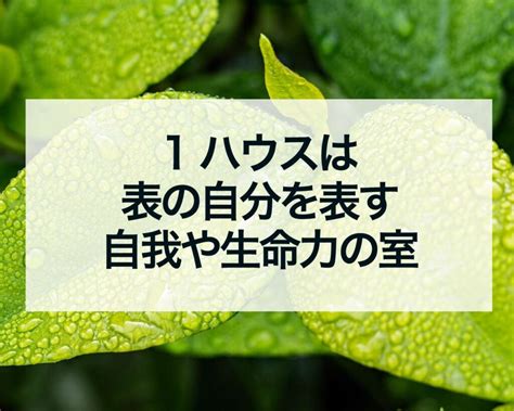 占星術 火星期|1ハウスは自我と生命力の室〜ハウスの天体を読み解。